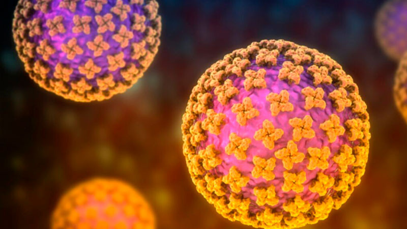EEUU mantiene bajo vigilancia a 41 personas expuestas a hantavirus 