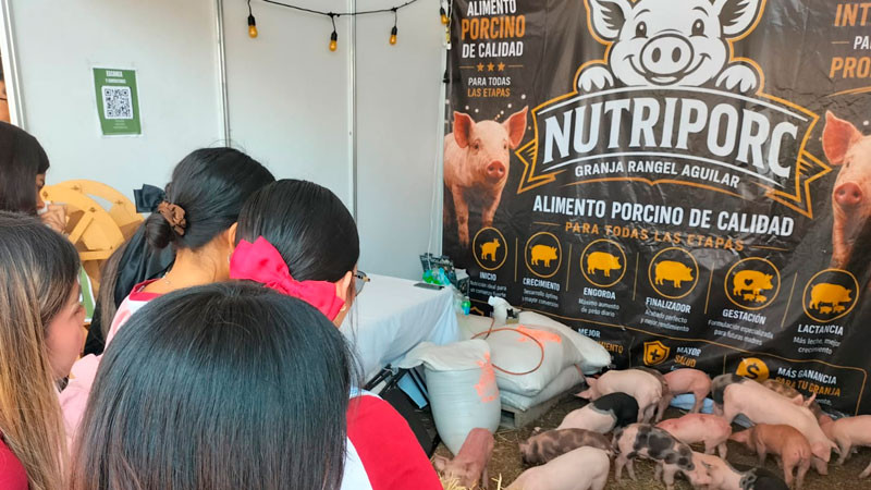 Gobierno de Morelia fomenta la producción porcina en la Agrotegan 