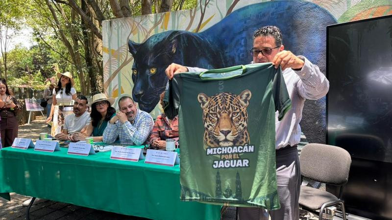 Realizarán carrera atlética para la conservación del jaguar en Michoacán; estiman 50 ejemplares en el estado 