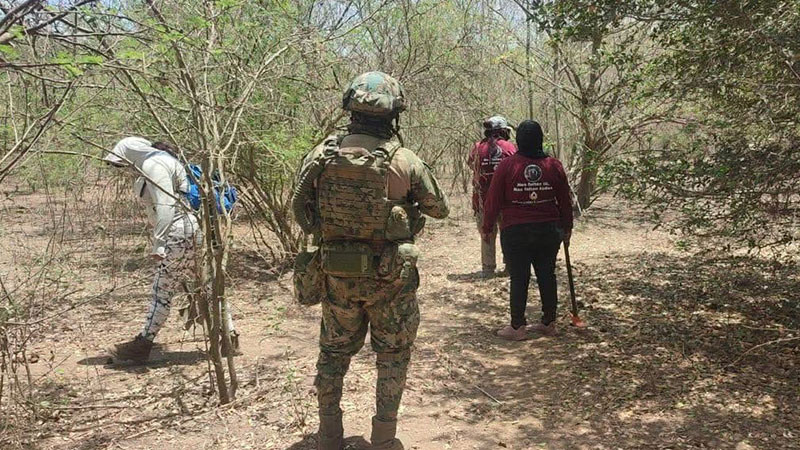 Encuentra un colectivo de búsqueda los restos de dos mujeres en un predio de Sinaloa  