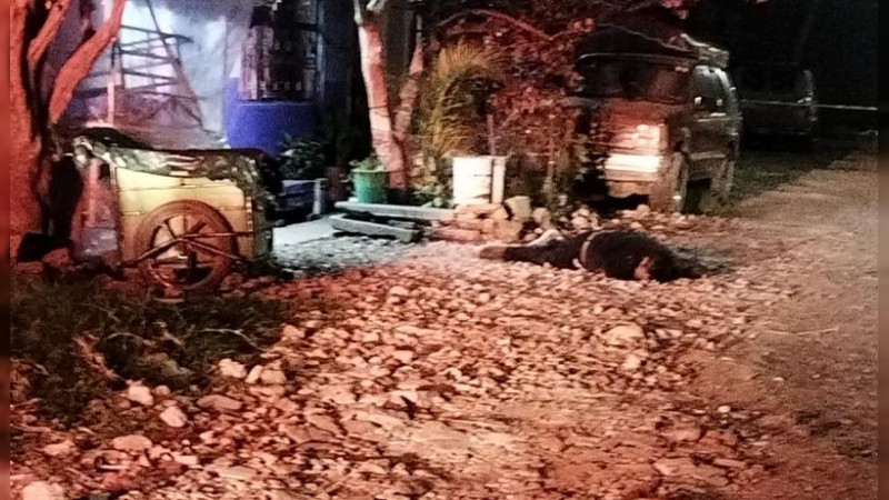 Tiroteo en Zamora, Michoacán, deja una persona sin vida