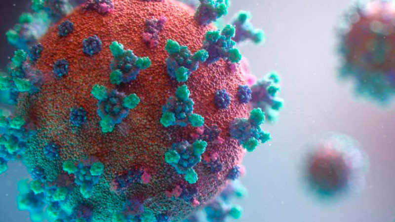 Salud federal presenta avisos por ébola, hantavirus y golpe de calor: "estamos preparados", asegura 