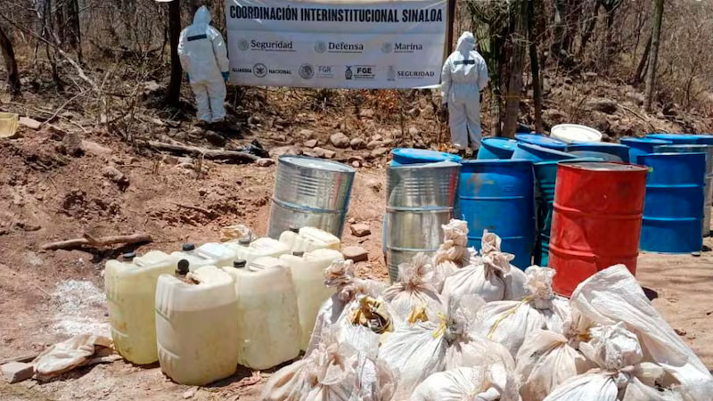 En megaoperativo incautan más de 4 toneladas de estupefacientes y destruyen 3 laboratorios clandestinos en Sinaloa 