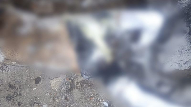 Hallan a persona semienterrada en Zamora, Michoacán 