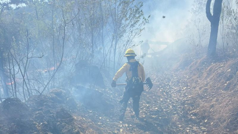 Logran contener el incendio en el cerro de Santa Rosa gracias a coordinación entre el ayuntamiento de los Reyes y el Gobierno del Estado 