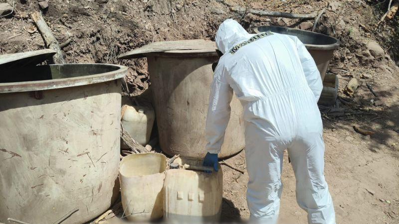 Desmantelan tres laboratorios clandestinos en Sinaloa; aseguran más de cuatro toneladas de sustancias ilícitas 