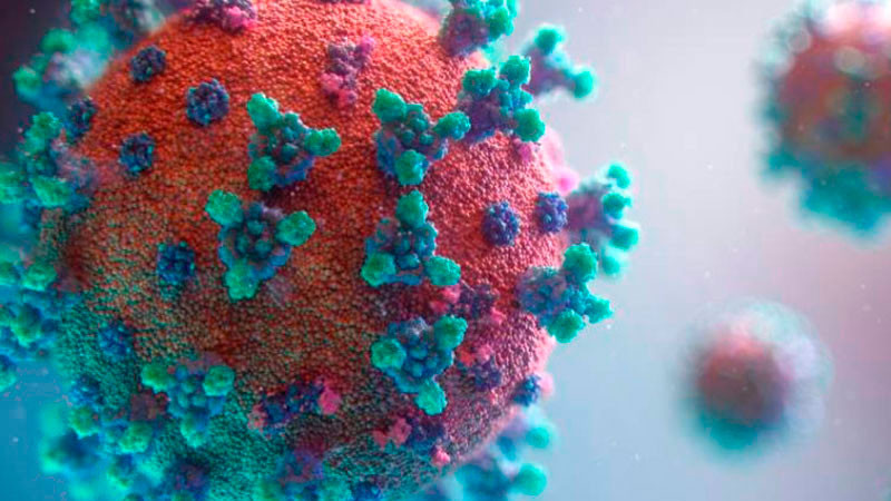 Aumenta a 12 número de personas infectadas de hantavirus, confirma la OMS 