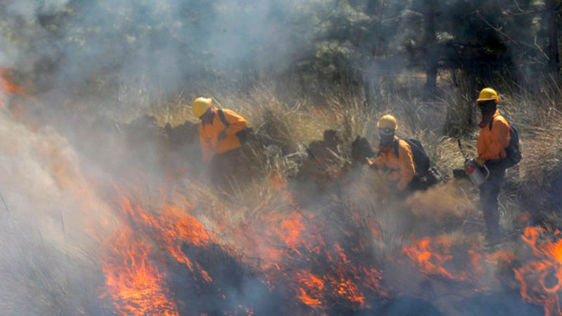 Brigadistas resultan heridos al combatir incendio forestal en Chiapas; uno está en estado crítico 
