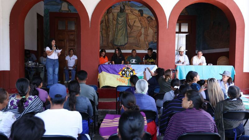 IEM acompaña consulta en la Isla de Yunuén sobre autogobierno y presupuesto directo 