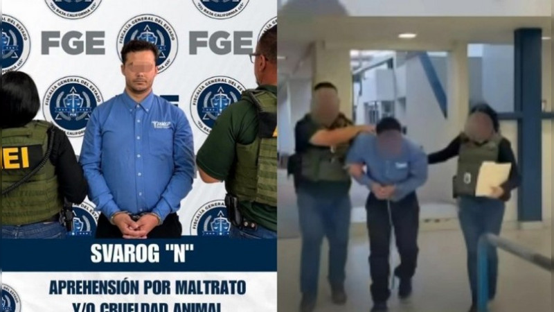 Detienen a estudiante de Veterinaria por presunto maltrato animal en Ensenada; lo acusan de mutilar gatos 