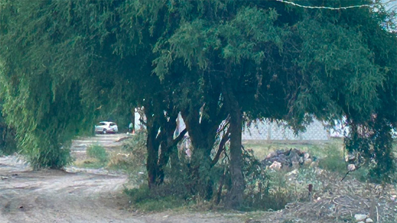 Dos personas pierden la vida en pelea por venta de terrenos en la comunidad de San Vicente Ferrer del municipio de El Marqués 