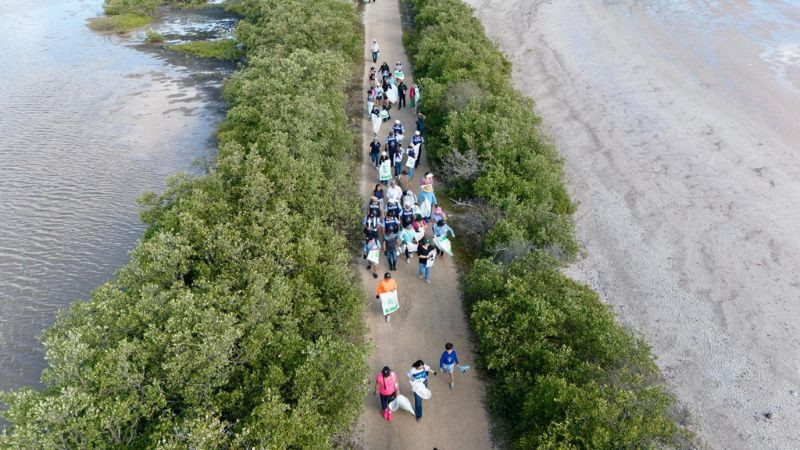 Retiran más de 660 kilos de residuos durante jornada de limpieza en costas de Yucatán 