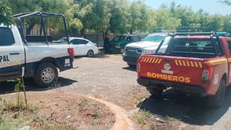 En Múgica, Michoacán: Fallece un hombre tras caer de un árbol 