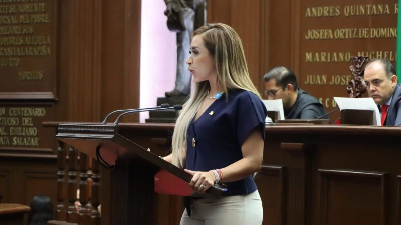 Minuta a reforma judicial exhibe errores de origen y falta de resultados: Grecia Aguilar Mercado 