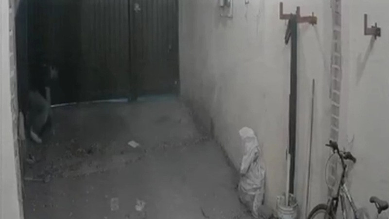 Como “rata de alcantarilla”: captan a ladrón entrando por una coladera para robar casa en Naucalpan 