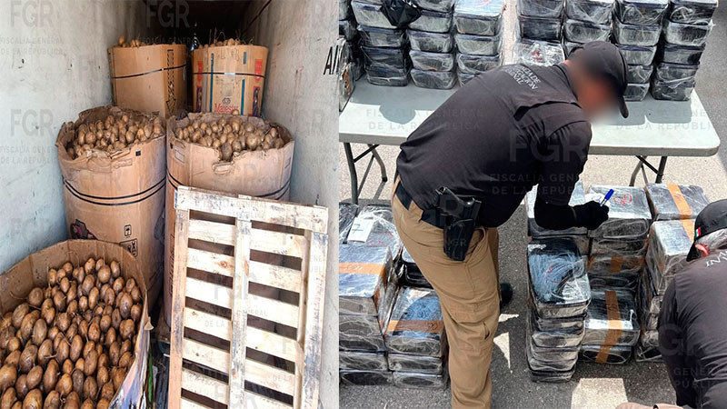 Aseguran casi una tonelada de sustancias ilícitas oculta en cargamento de jícamas en Durango 
