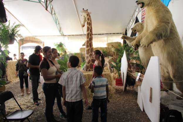 Presentan muestra de taxidermia en la Expo Feria Michoacán 2015 - Foto 0 