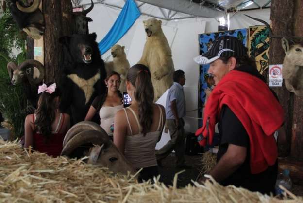 Presentan muestra de taxidermia en la Expo Feria Michoacán 2015 - Foto 1 