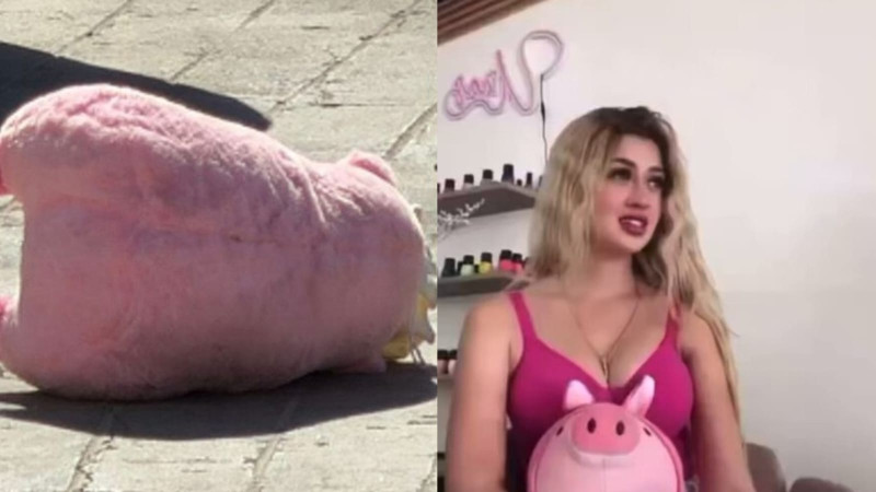 Cerditos rosas siembran inquietud en Sinaloa; aparecen en al menos cuatro escenas de homicidio y recuerdan el caso Valeria Márquez 