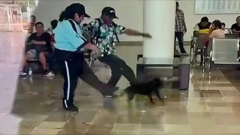 Indignación en Campeche: exhiben a vigilantes de hospital por presunto maltrato animal; Fiscalía ya investiga