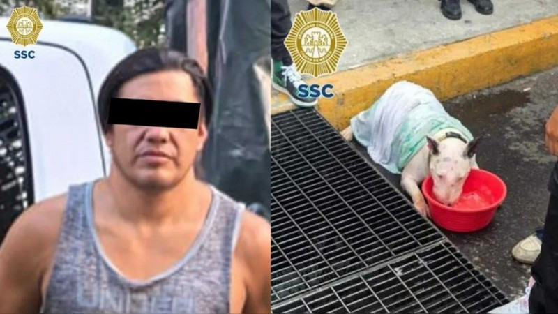 Muere un perro tras permanecer encerrado en camioneta en el Centro Histórico de la CDMX: dueño fue detenido 