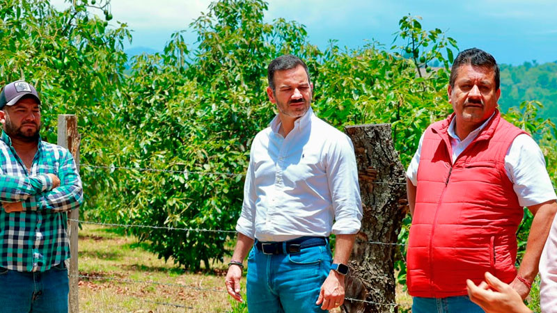 Yankel Benítez supervisa caminos rurales junto con la Saderm 