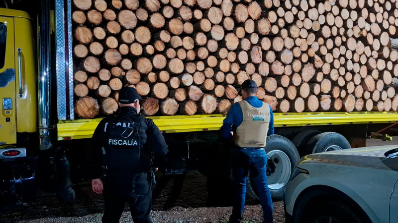 Aseguran en Pátzcuaro, Michoacán vehículos que transportaban madera durante operativo coordinado 