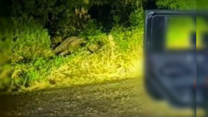Abandonan cuatro cuerpos en una camioneta robada, tras “topón” en Parácuaro, Michoacán 