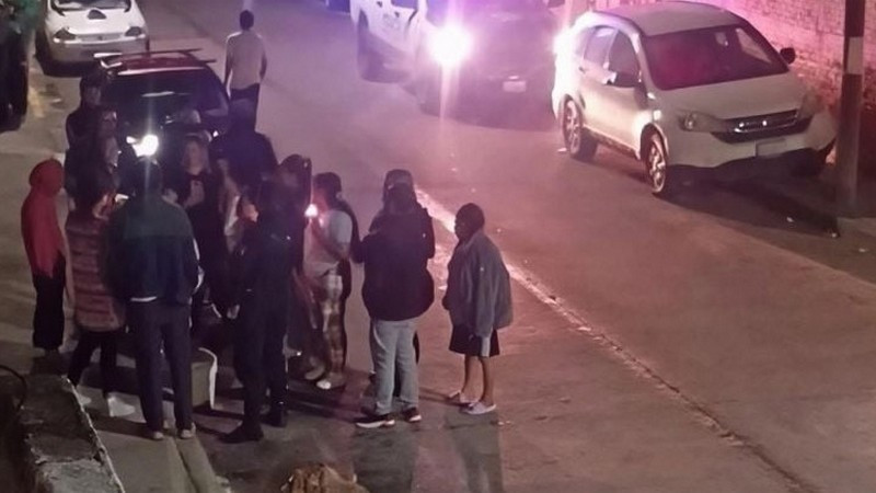 Envenenan a seis perros en Celaya; Fiscalía investiga posible caso de crueldad animal 