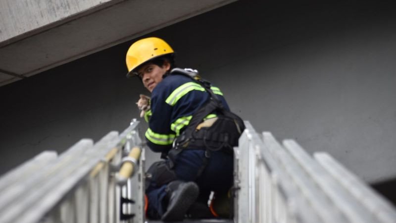 Bomberos de Querétaro rescatan a un gatito atrapado en puente vehicular; vecinos lo adoptan tras el operativo 