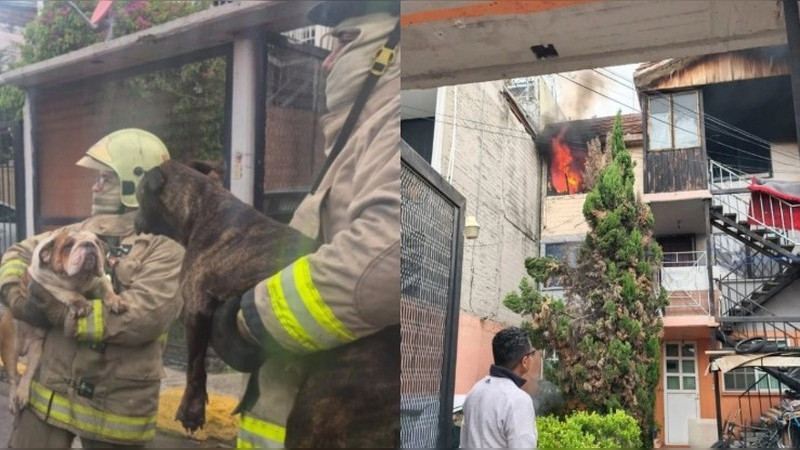 Hombre prende en fuego a su pareja en Ecatepec; fue detenido por tentativa de feminicidio 