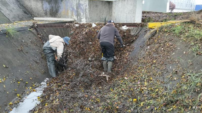 Realiza Gobierno de Morelia limpieza preventiva en canal Fray Antonio de San Miguel 