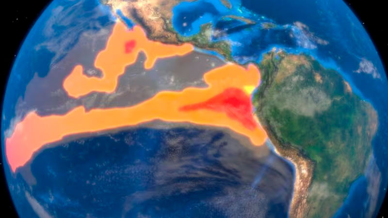 Se forma fenómeno "El Niño" en el Pacífico; prevén que sea "muy fuerte" 