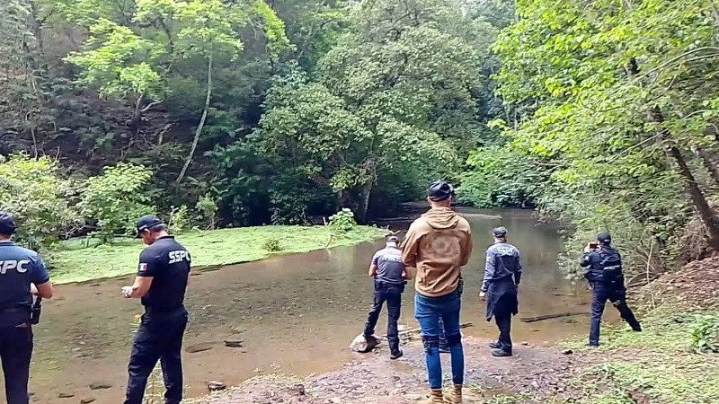 Hallan venado sin vida en área natural protegida de Uruapan, Michoacán; refuerzan acciones 