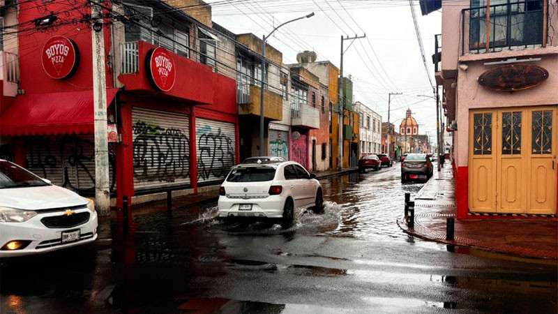 Reporta Protección Civil caída de árboles por lluvias en Querétaro 