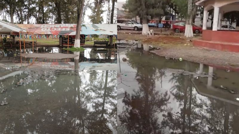Denuncia CNTE ruptura de colector por construcción de puente en Morelia, aguas negras invaden sus oficinas sindicales 