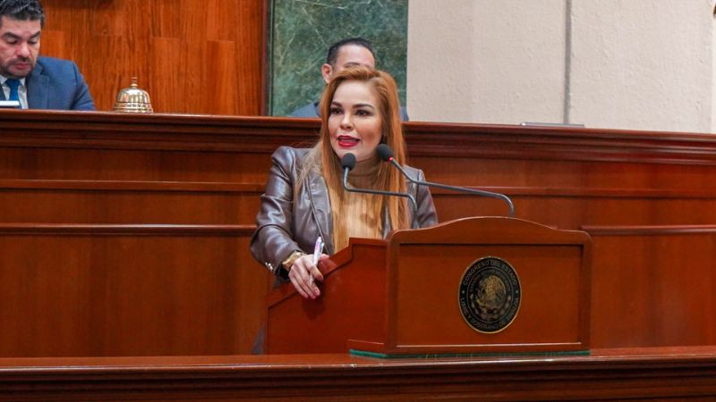 Guardia Nacional ofrece protección a diputada Paola Gárate tras denunciar riesgo a su integridad 