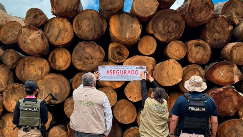 En operativo conjunto, aseguran precautoriamente productos forestales en Madero, Michoacán  