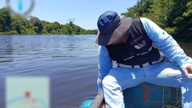 Investigan posible contaminación por mortandad de peces en Veracruz 