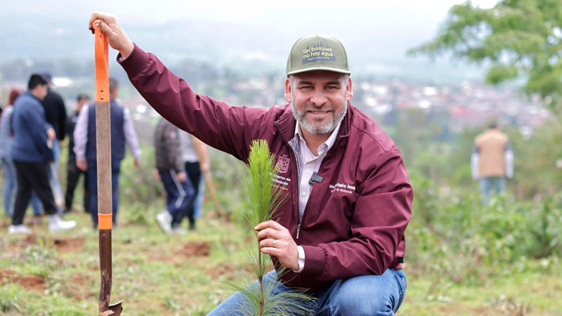 Anuncia Bedolla reforestación de 17 mil hectáreas con 10.5 millones de árboles 