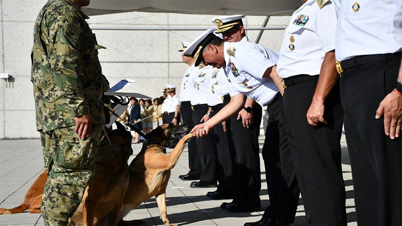 Marina rinde homenaje y jubila a tres binomios caninos tras años de servicio 