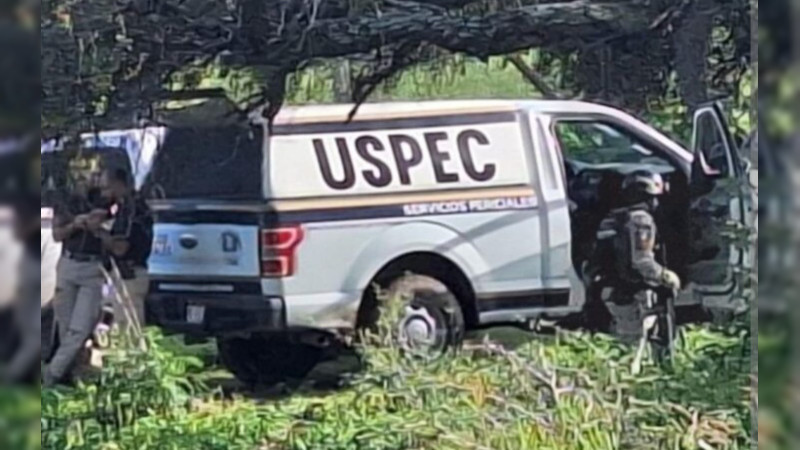 Localizan cráneo humano en zona serrana de Apatzingán; Fiscalía Michoacán investiga su origen 