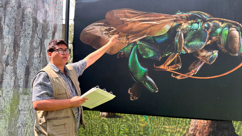 Continúa “INSECTUS” en el Zoo de Morelia; SEE invita a conocer exposición que ha recorrido el mundo 