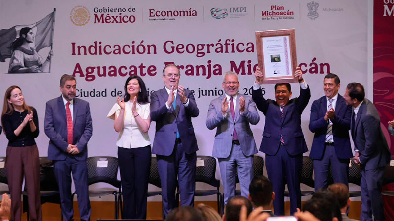 Aguacate michoacano obtiene Indicación Geográfica por IMPI 