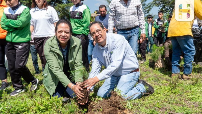 Arranca Hidalgo Jornada de Reforestación 2026 con la plantación de más de 3 mil pinos 