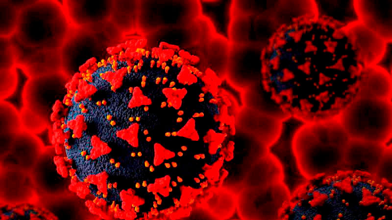 Confirman primer contagio de ébola fuera de África 