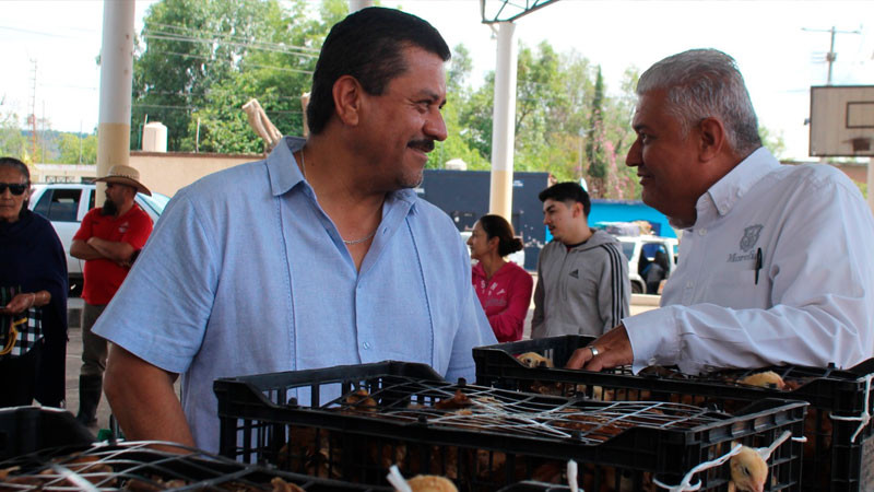 Gobierno de Morelia continúa entrega de gallinas de traspatio en apoyo al sector rural 