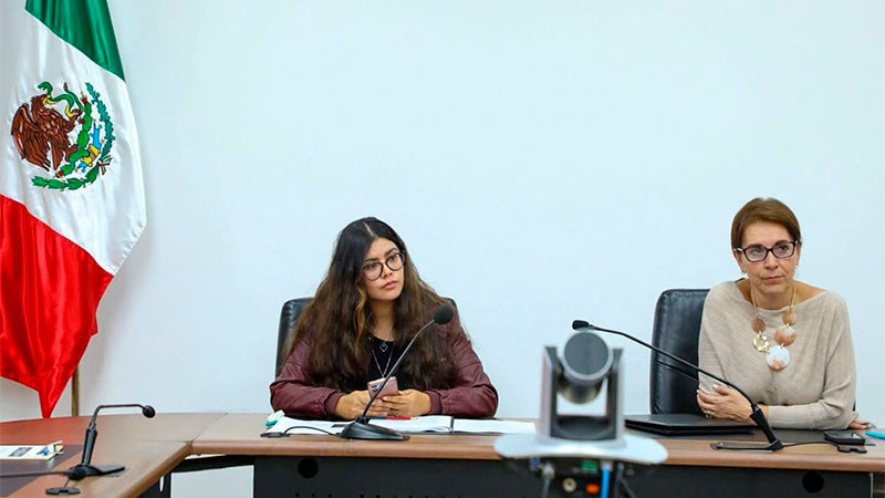 Enfrentaría presidenta provisional del IEM proceso similar al de consejeros destituidos 