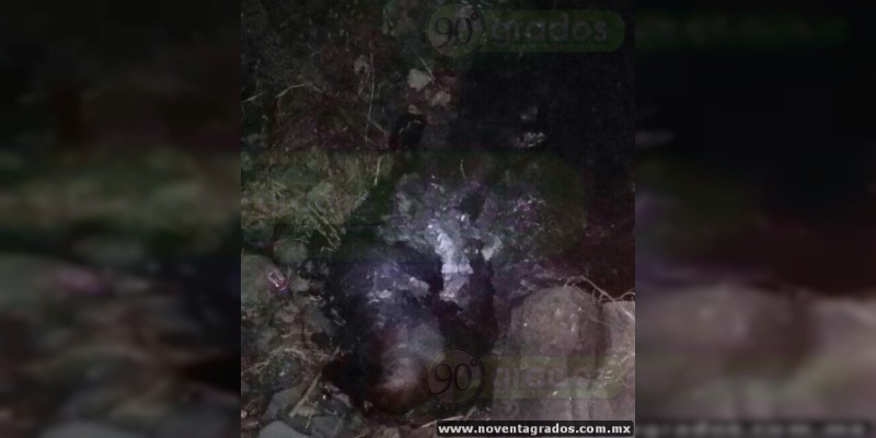 Siguen sin identificar dos ejecutados y un cuerpo calcinado localizados en Zamora, Michoacán - Foto 4 
