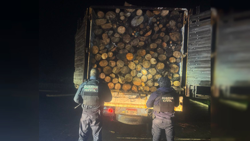 Guardia Civil asegura camión con madera ilegal en Madero, Michoacán; agentes asestan golpe a talamontes 